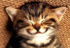 sonrisa