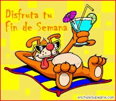 finde