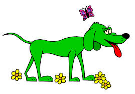 perro