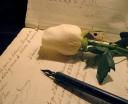 Pluma