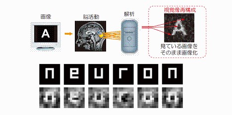 mind-reader-neuron