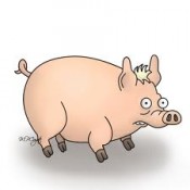 La semana en los mercados 7