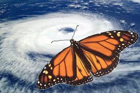 mariposa