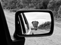 retrovisor