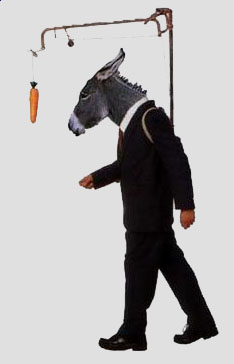 Burro_zanahoria
