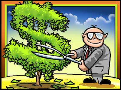 money tree