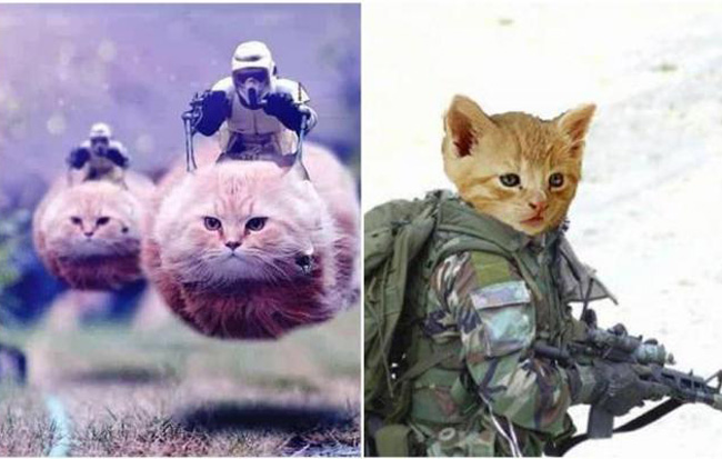 gatos-terrorismo-euribor