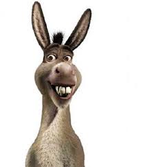 burro