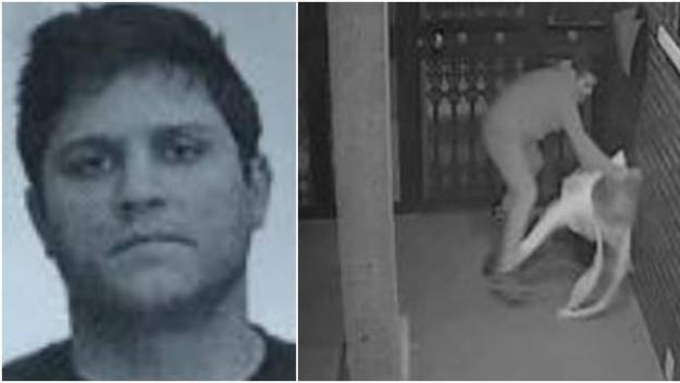 Detenido el hombre que agredió a una mujer robándole el bolso en Algeciras cuando intentaba coger un avión en Málaga 4