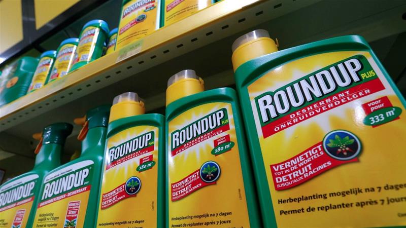 Monsanto condenada a pagar 289 millones de dólares a un jardinero por el cáncer que sufre por sus productos 1