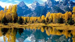 El futuro de tu hipoteca se coció en Wyoming 1