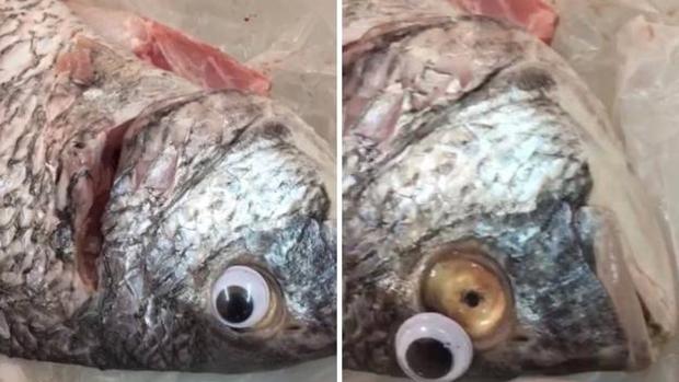 Una pescadería pone ojos de plástico a su pescado para que parezca fresco 4