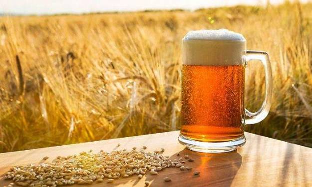 El cambio climático amenaza el suministro mundial de cerveza 1