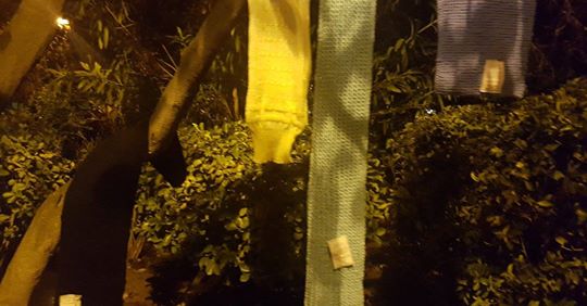 Vecinos de Alcalá de Henares cuelgan bufandas en los árboles para personas que duermen en la calle y necesitan abrigo 16