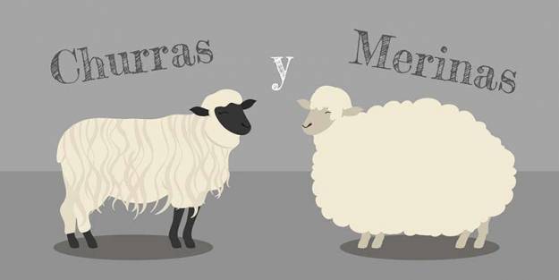 Otro año más de Trump 1