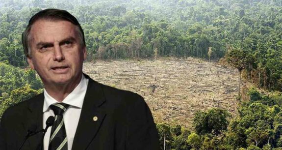 Brasil planea vender el 15% del Amazonas a fondos de inversión 4