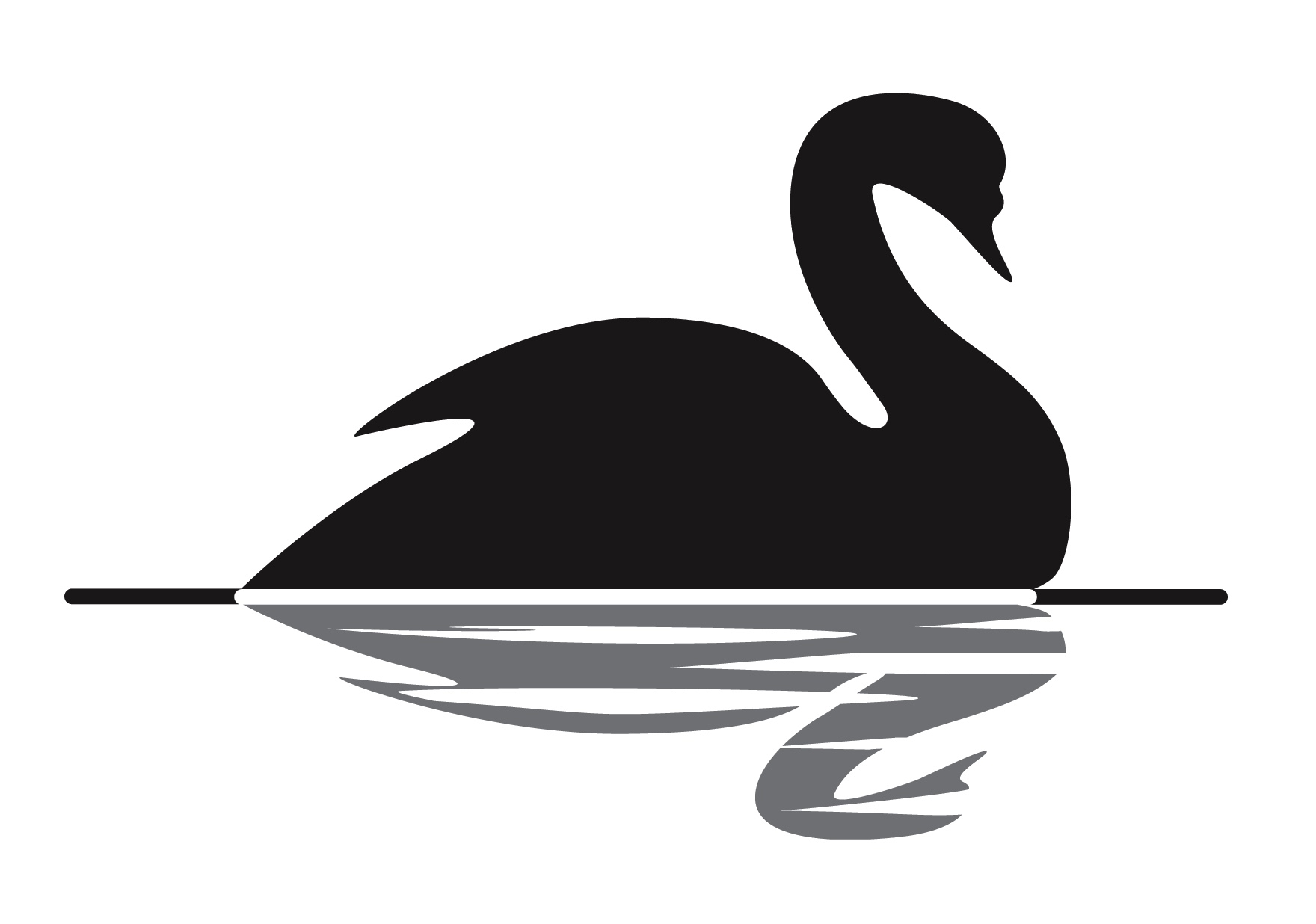 Cisne negro 1