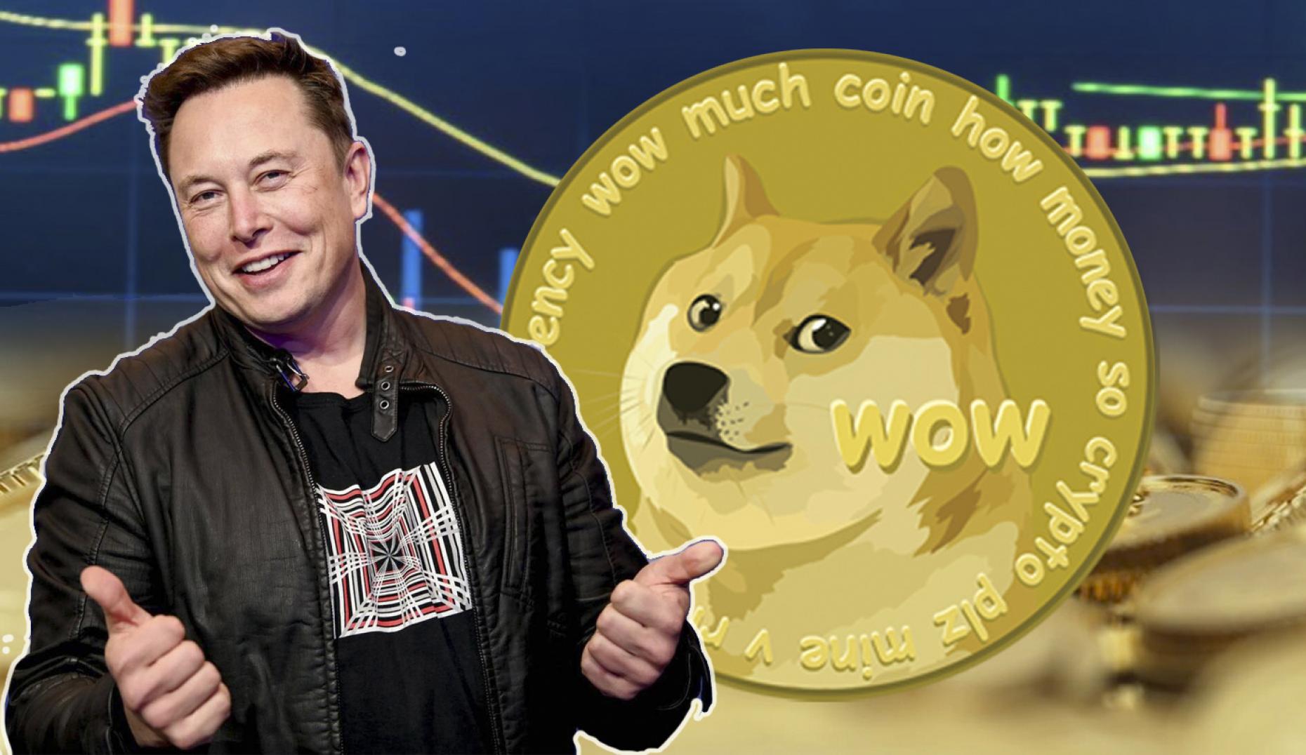 4 posibles razones por las que se ha disparado el Dogecoin (y muchas criptomonedas) 1