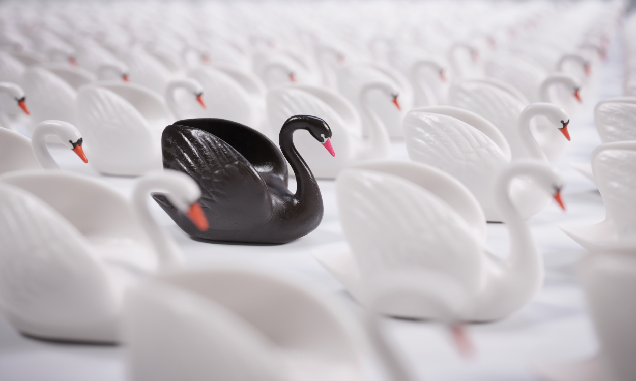 Los cisnes negros para el 2022 1