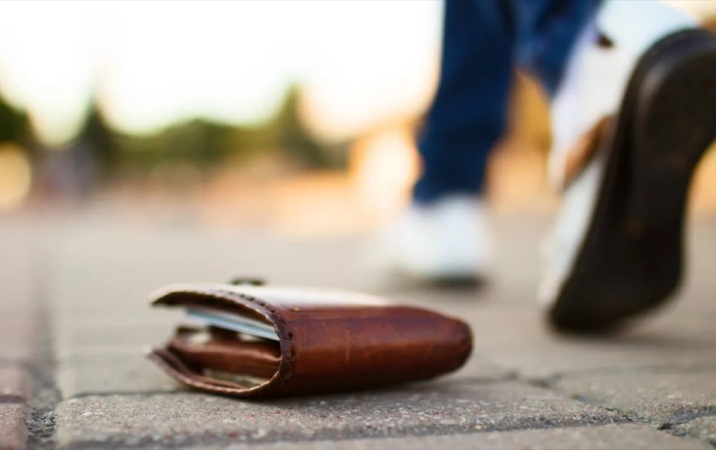 ¿Qué tienes que hacer si pierdes la cartera? 1