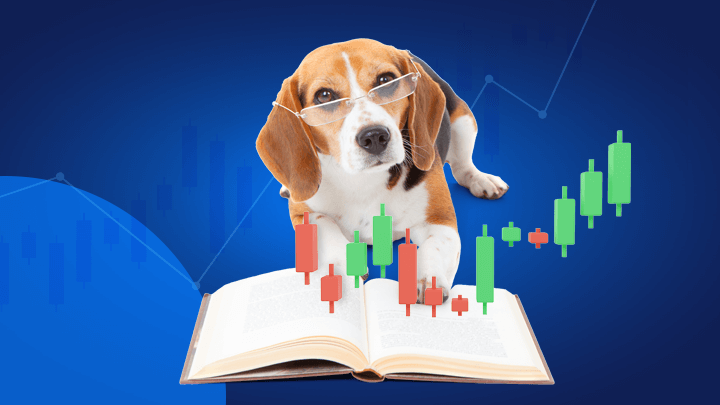 Dogs of Dow, una de las estrategias bursátiles más sensatas. 6