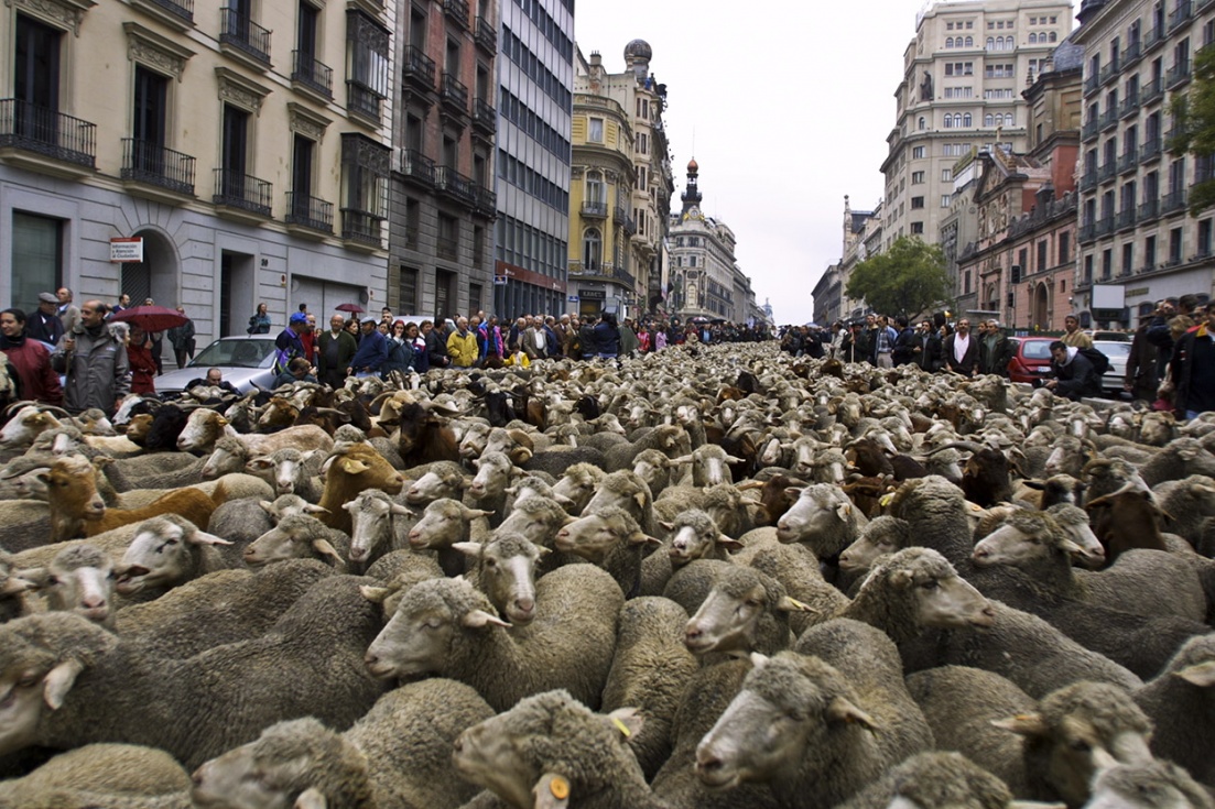 Cómo la masas mueven el mercado 1