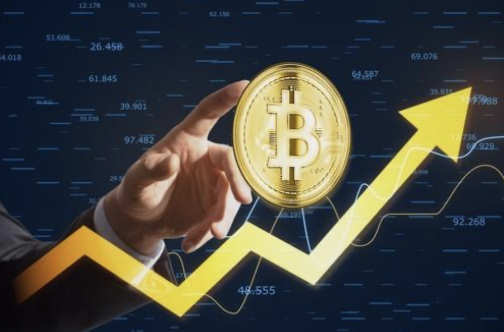 Las carteras de criptomonedas más seguras 1