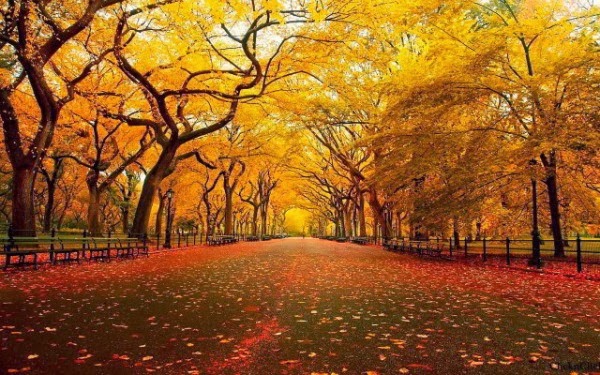 Llega el otoño 2025: cambios de luz, de clima... y de economía 1