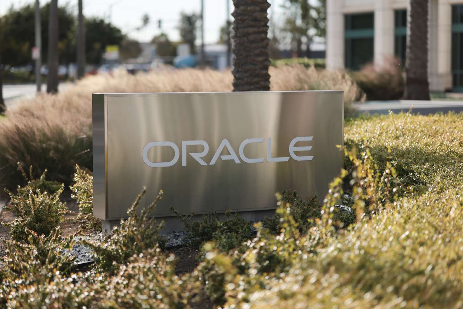 ¿Podría ser Oracle la primera víctima del pinchazo de la burbuja de IA? 1