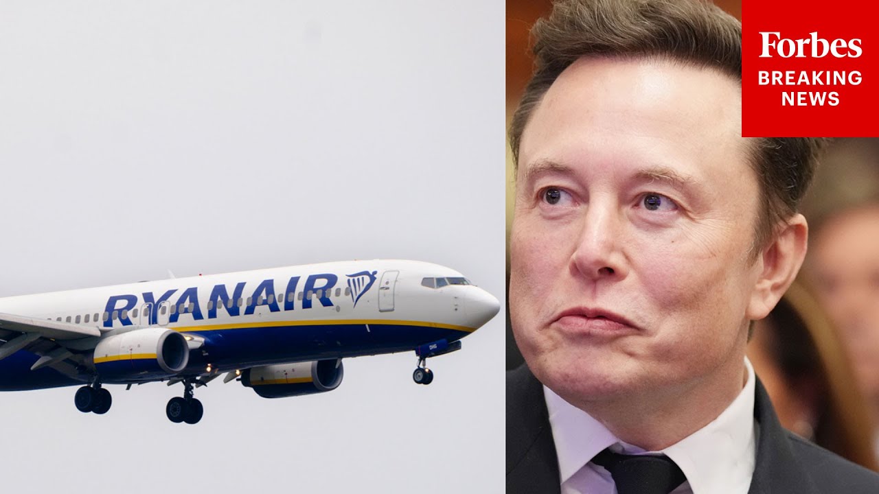Elon Musk lanza una encuesta sobre si debería comprar Ryanair 1